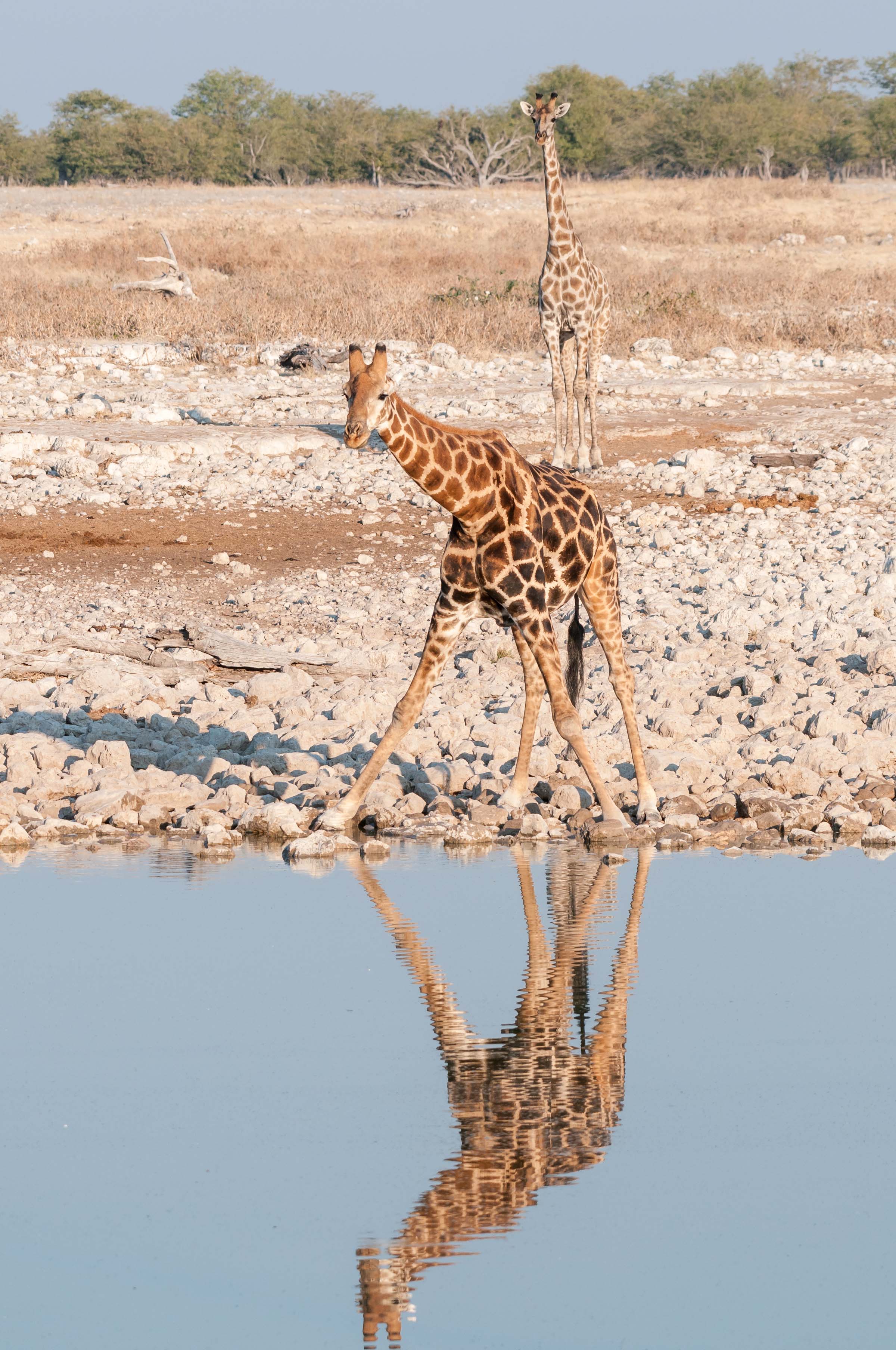 Activities during a Namibia Luxury Safari 